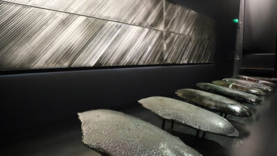 Bernard Dejonghe au musée Soulages