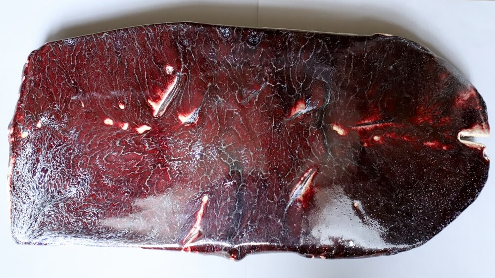 Bernard Dejonghe Atacama 65 x 35 x 9 cm