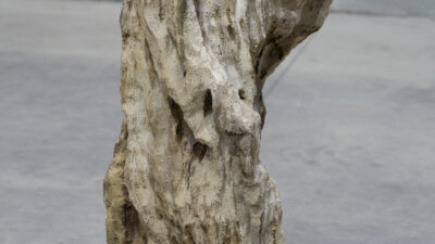 Claudi Casanovas Fumarola R