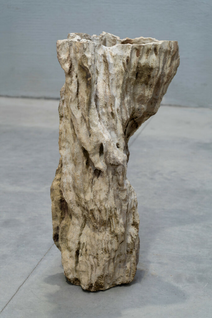 Claudi Casanovas Fumarola R