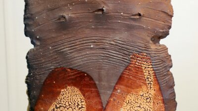 Paroi 47 x 37 cm Pascal Geoffroy exposition Force et Forme 14 février 12 avril 2026 Giroussens